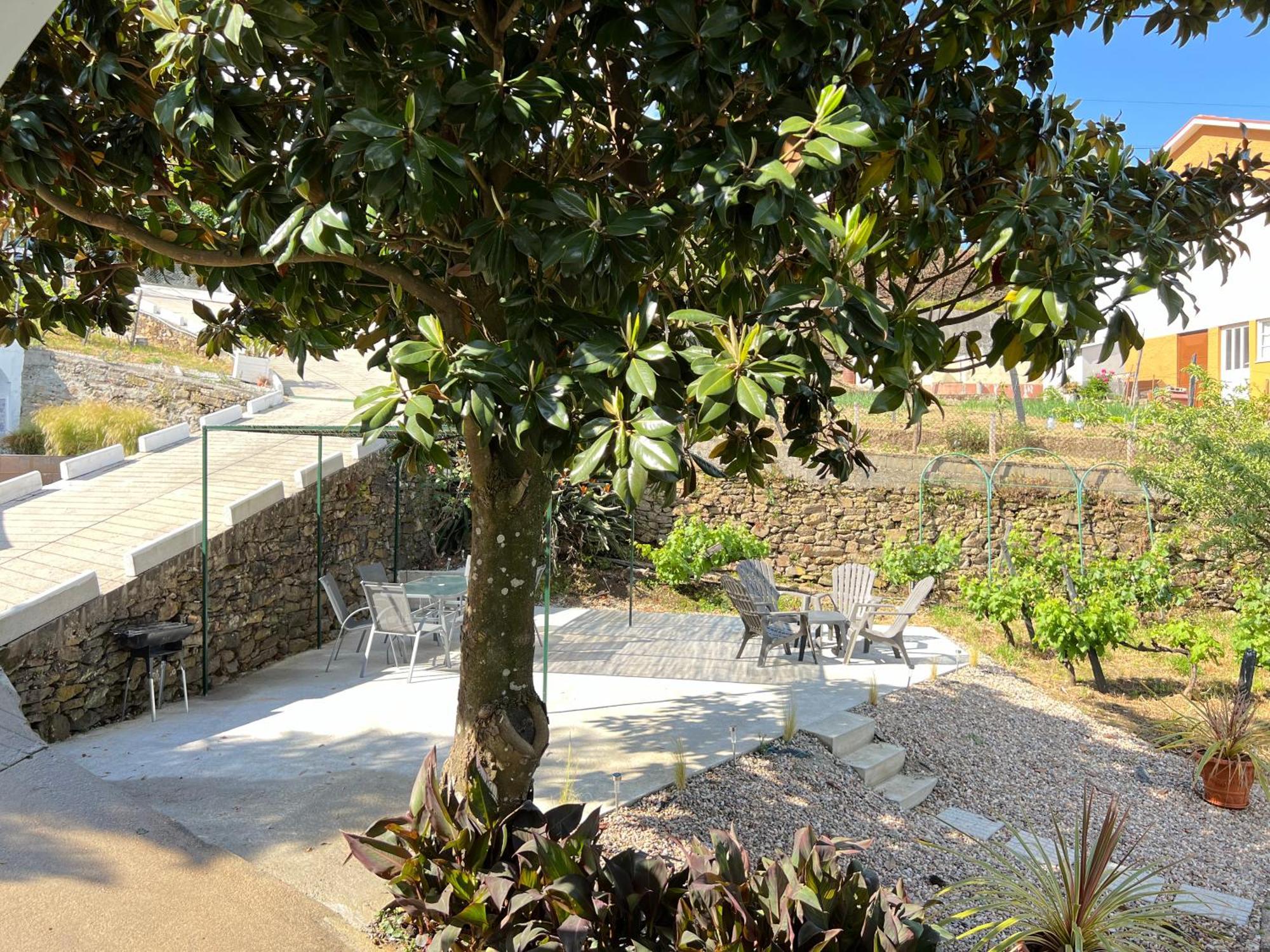 Samaritana - Casa Da Vinha Holiday home Vila Marim